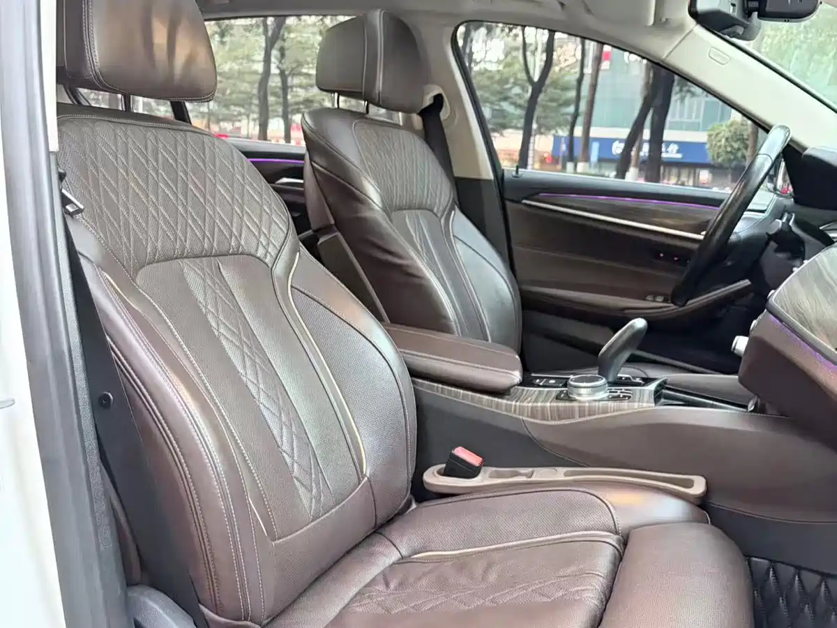 BMW 5 SERIES NEW ENERGY