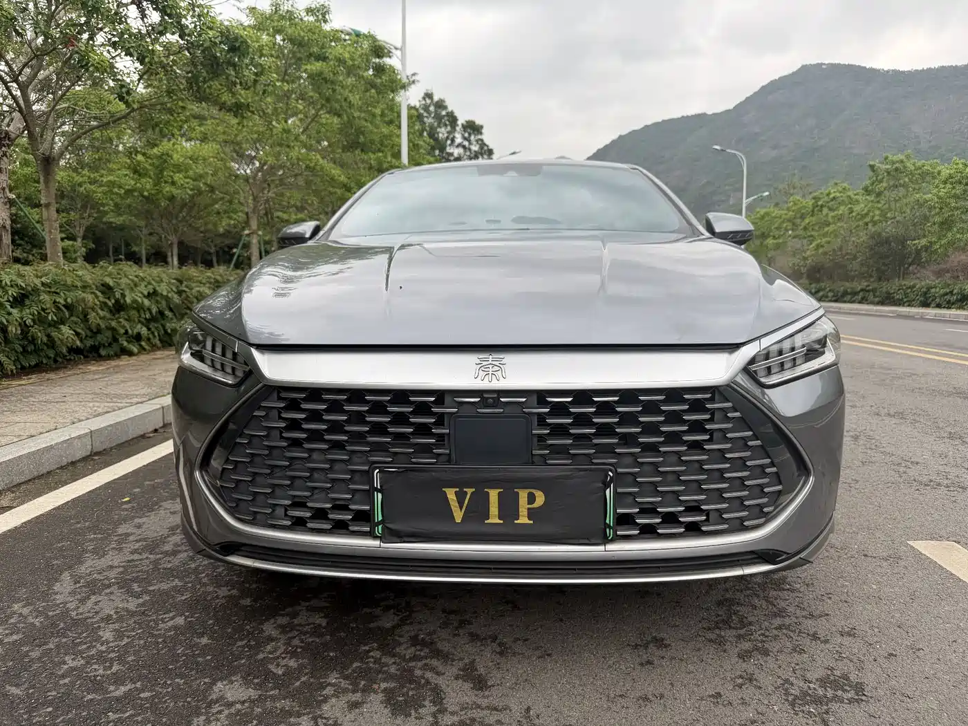 BYD Qin PLUS 2021 DM-i 120KM Flagship фото 3