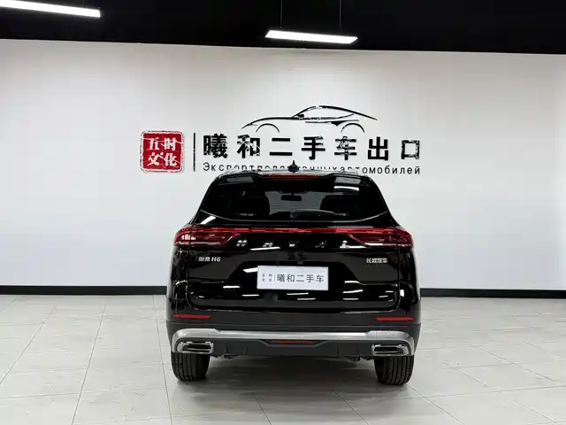 Haval H6 2021 National Trend Edition 1.5T Automatic Urban Edition — фото 5