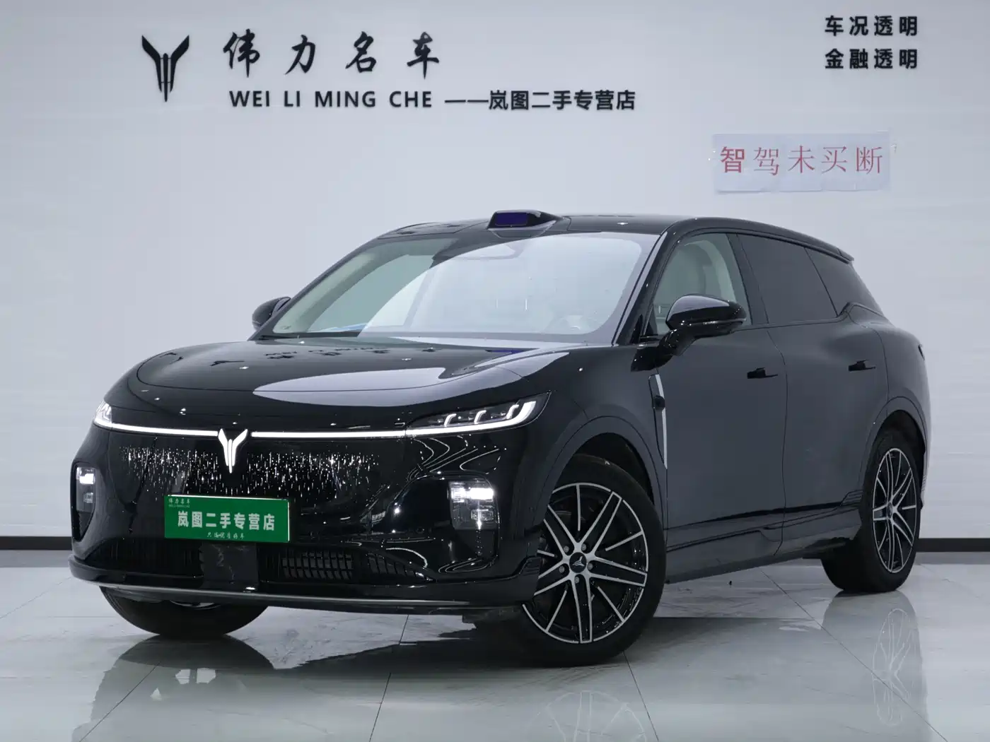 Voyah Auto Voyah Zhiyin 2025 Base