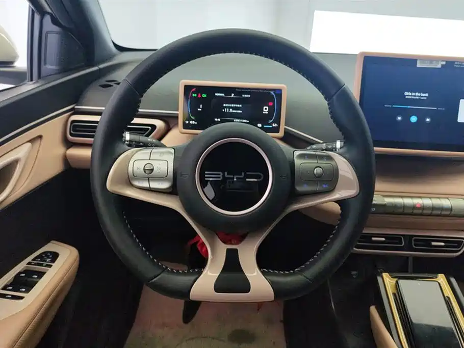 BYD Seagull 2023 2023 Freedom Edition