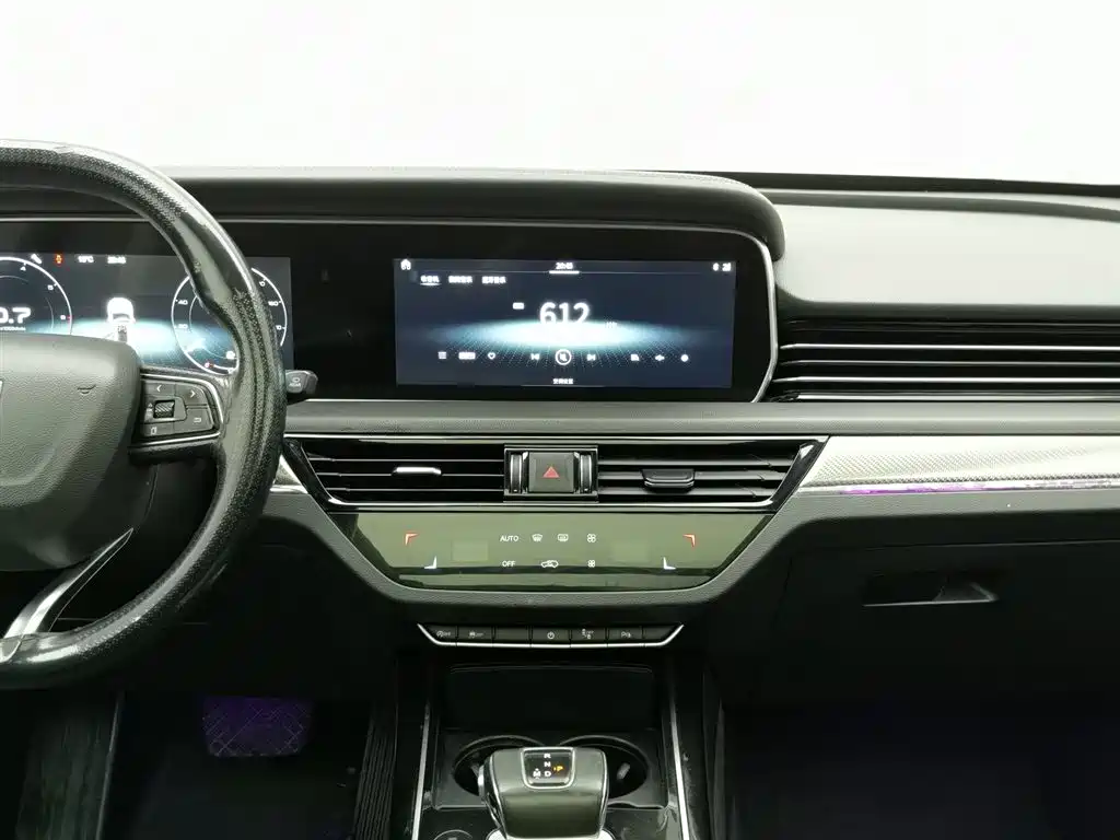 Hongqi HS5 2019 2.0T Smart Connect Enjoy Edition фото 12