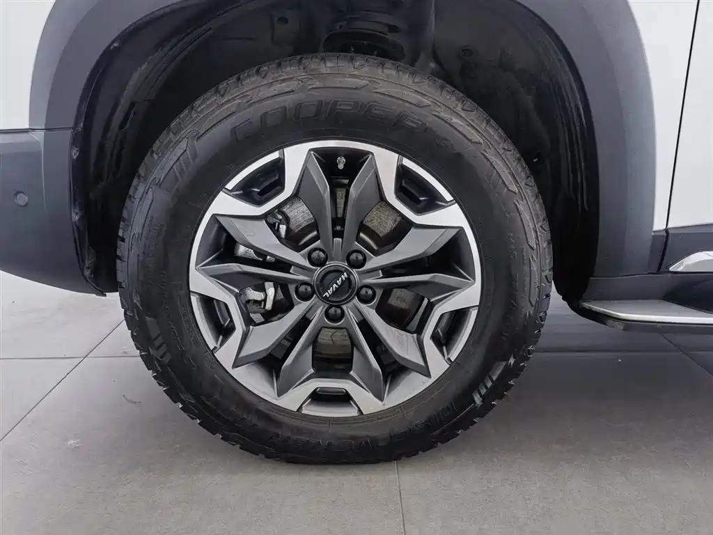 Haval Big Dog 2021 Facelift 2.0T DCT AWD Howling Celestial Dog Edition фото 17