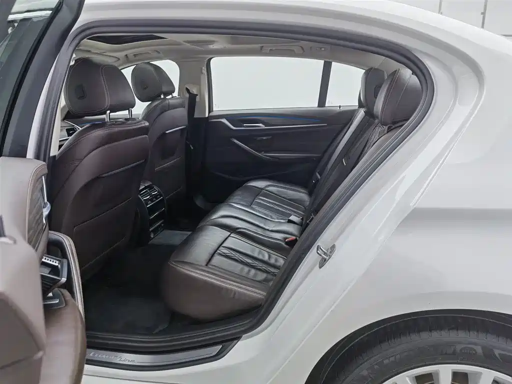 BMW 5 Series 2020 530Li Leading Luxury Package фото 15