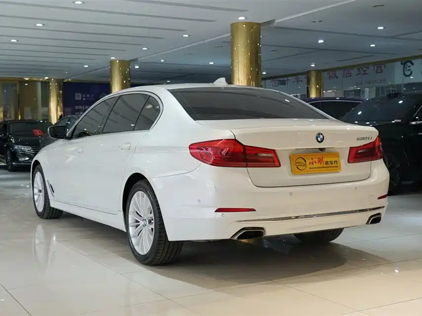 BMW 5 Series 2020 530Li Premium Luxury Package фото 15