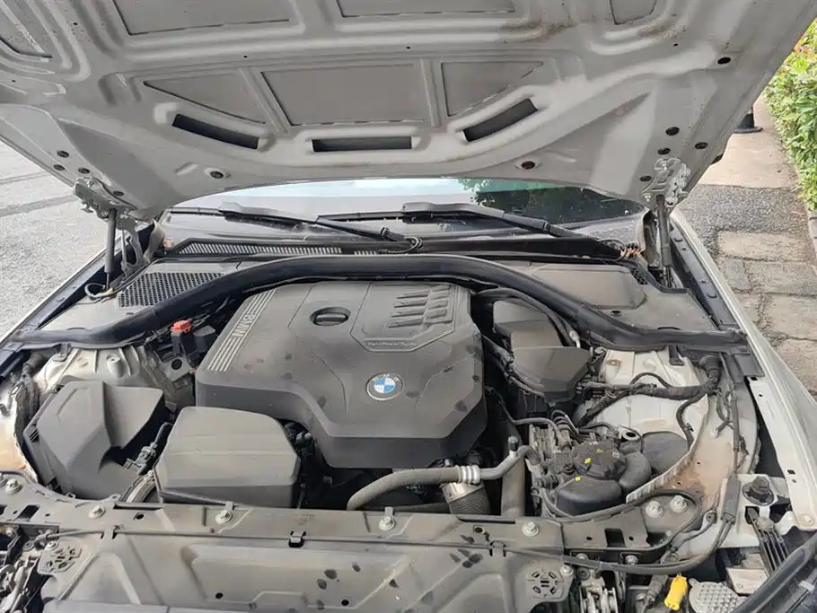BMW 3 Series 2021 325Li M Sport Package фото 10