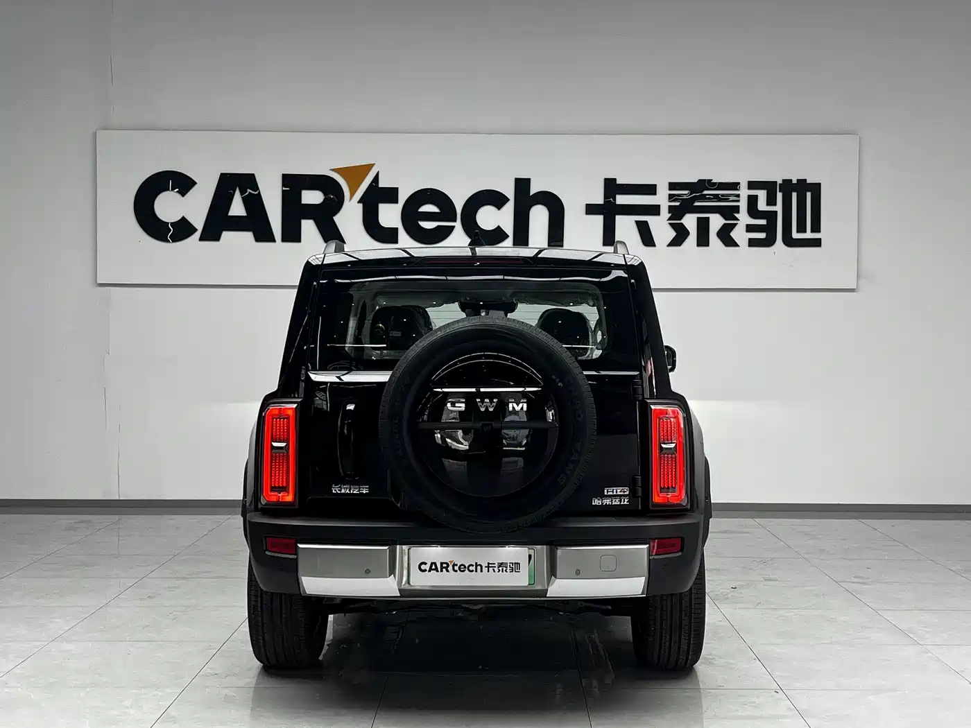 HAVAL RAPTORS NEW ENERGY