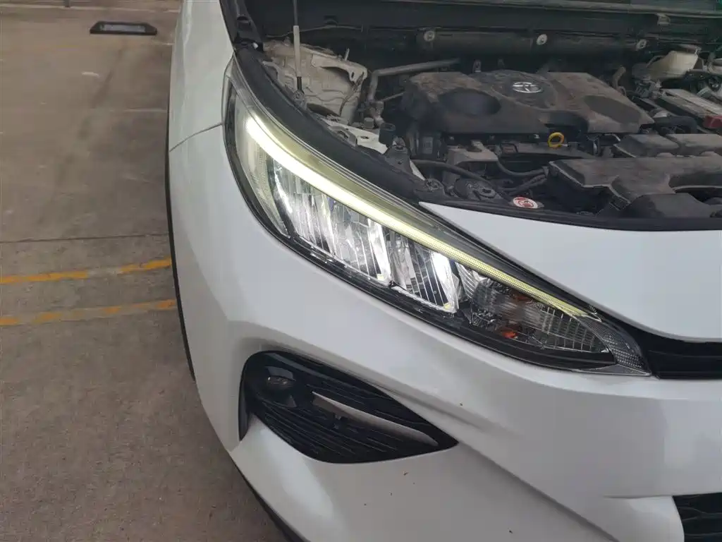 Toyota Wildlander 2020 2.0L CVT 2WD Luxury Edition фото 14