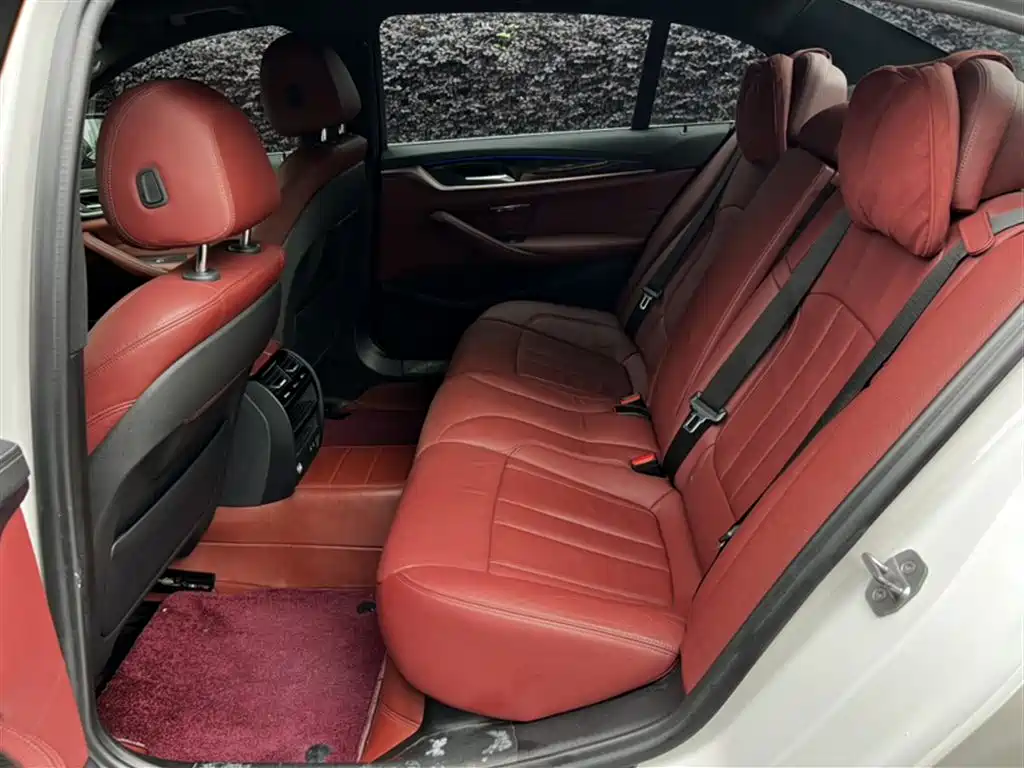 BMW 5 Series 2020 530Li Leading M Sport Package фото 2