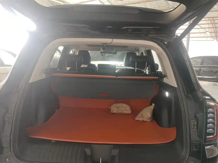 Haval Big Dog 2021 1.5T DCT 2WD Border Collie Edition фото 4