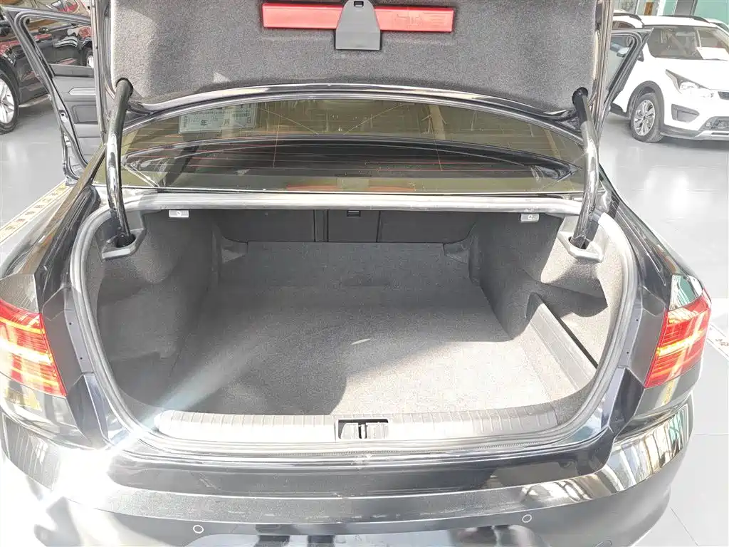 Volkswagen Magotan 2019 330TSI DSG Luxury Class China VI фото 19