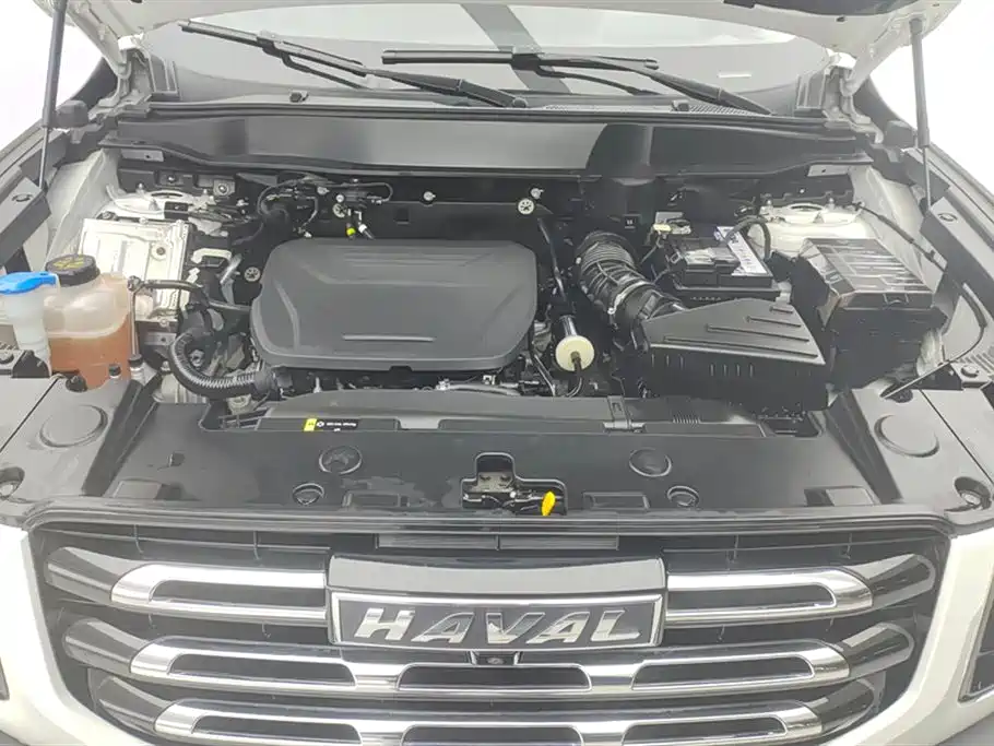 Haval Big Dog 2022 1.5T DCT FWD Malinois Edition фото 10