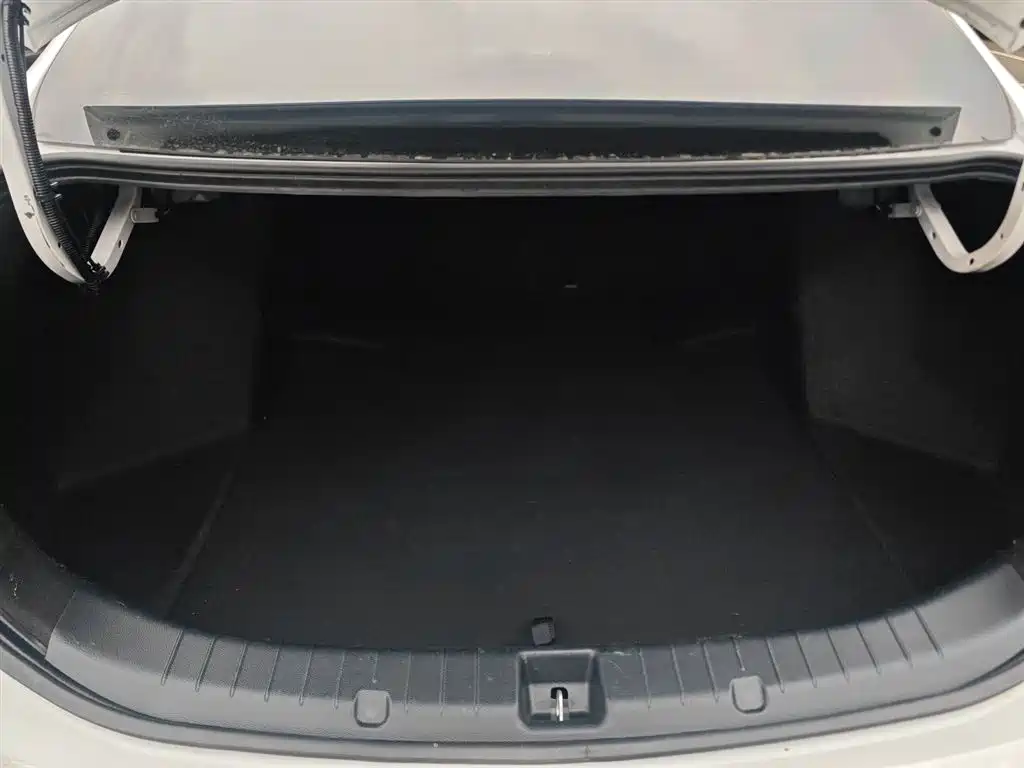 BYD Qin 2019 1.5L Automatic Prestige фото 19