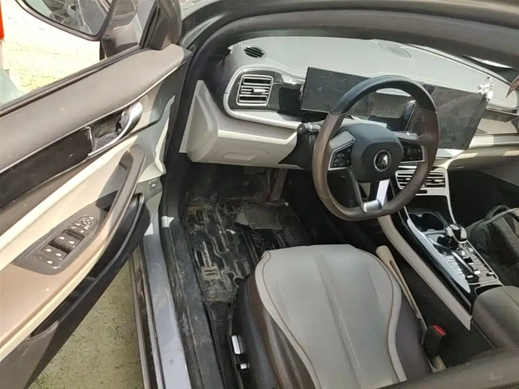 BYD Qin PLUS 2023 Champion Edition DM-i 120KM Excellence фото 15