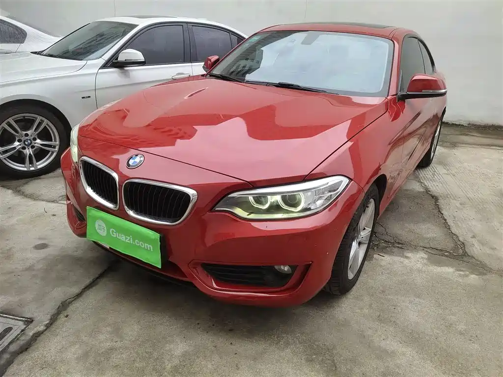 BMW 2 Series (Import) 2014 220i Leading фото 2