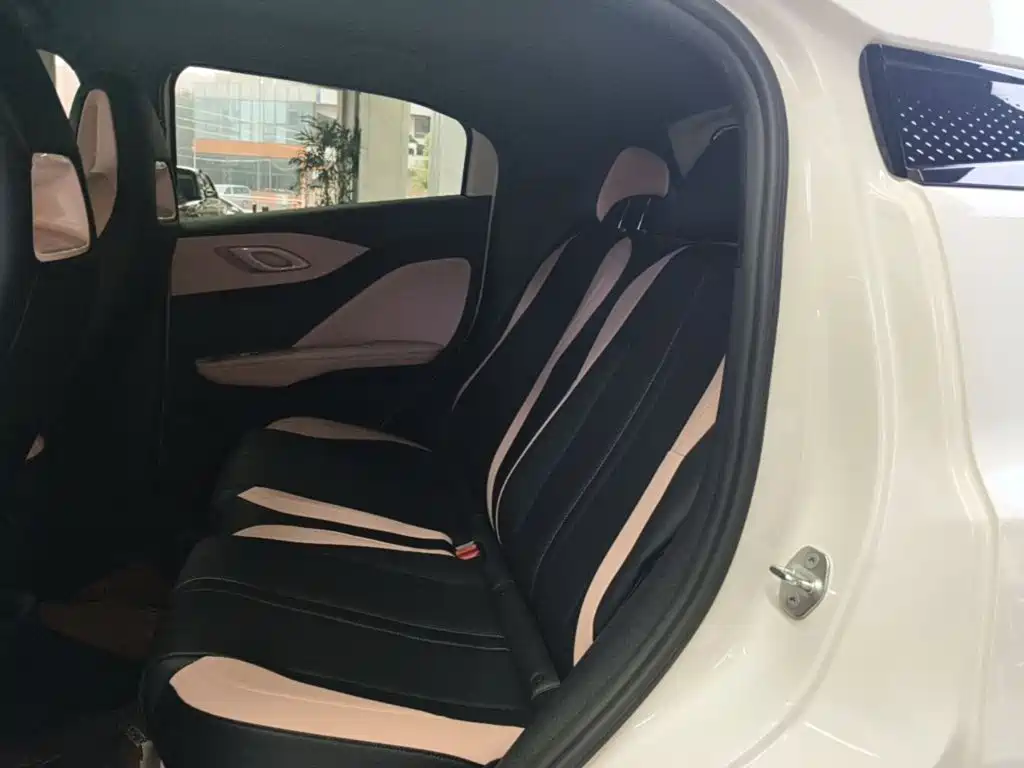 BYD Seagull 2026 2025 Smart Drive Edition 305km Freedom Version
