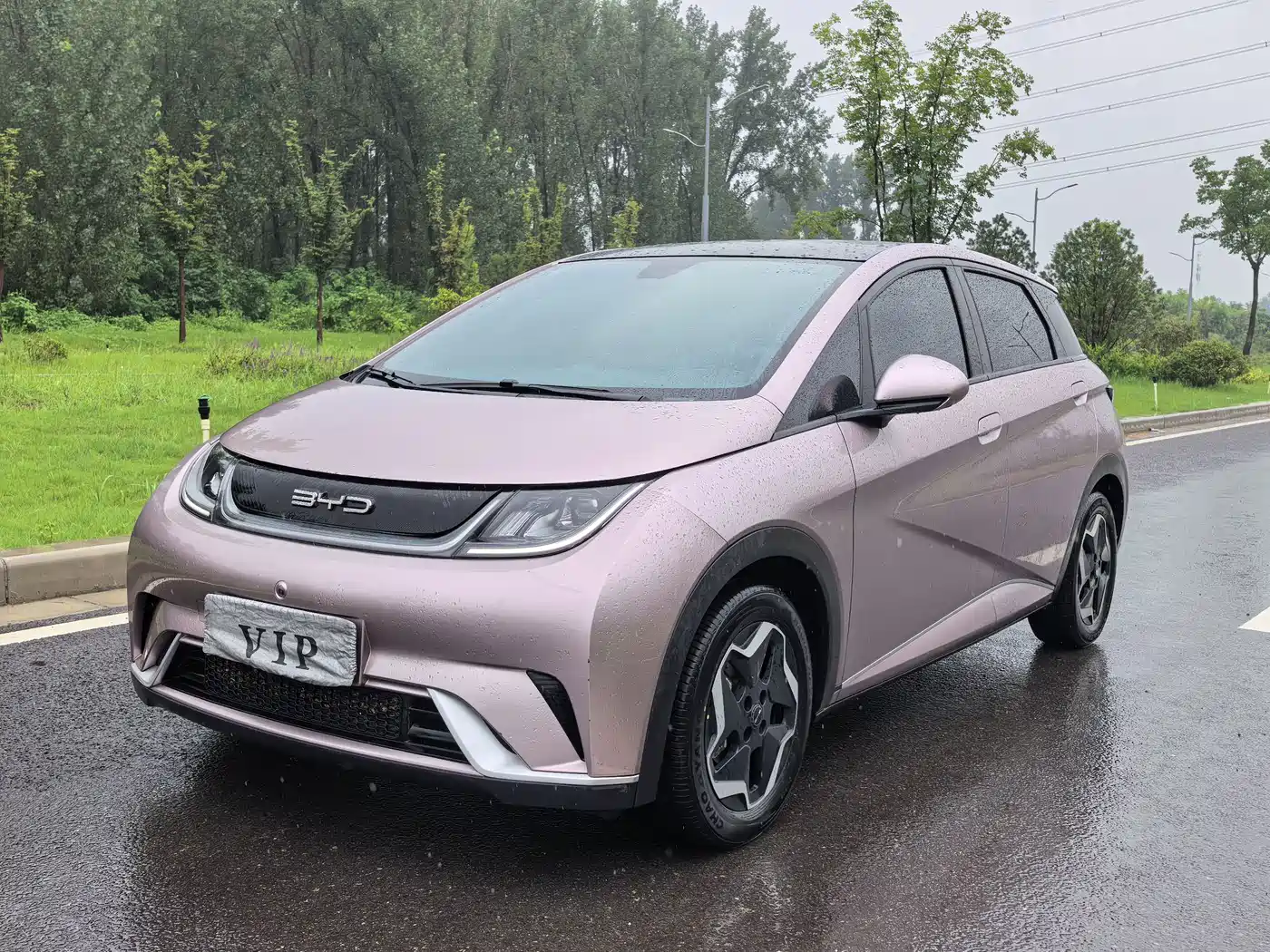 BYD Dolphin 2021