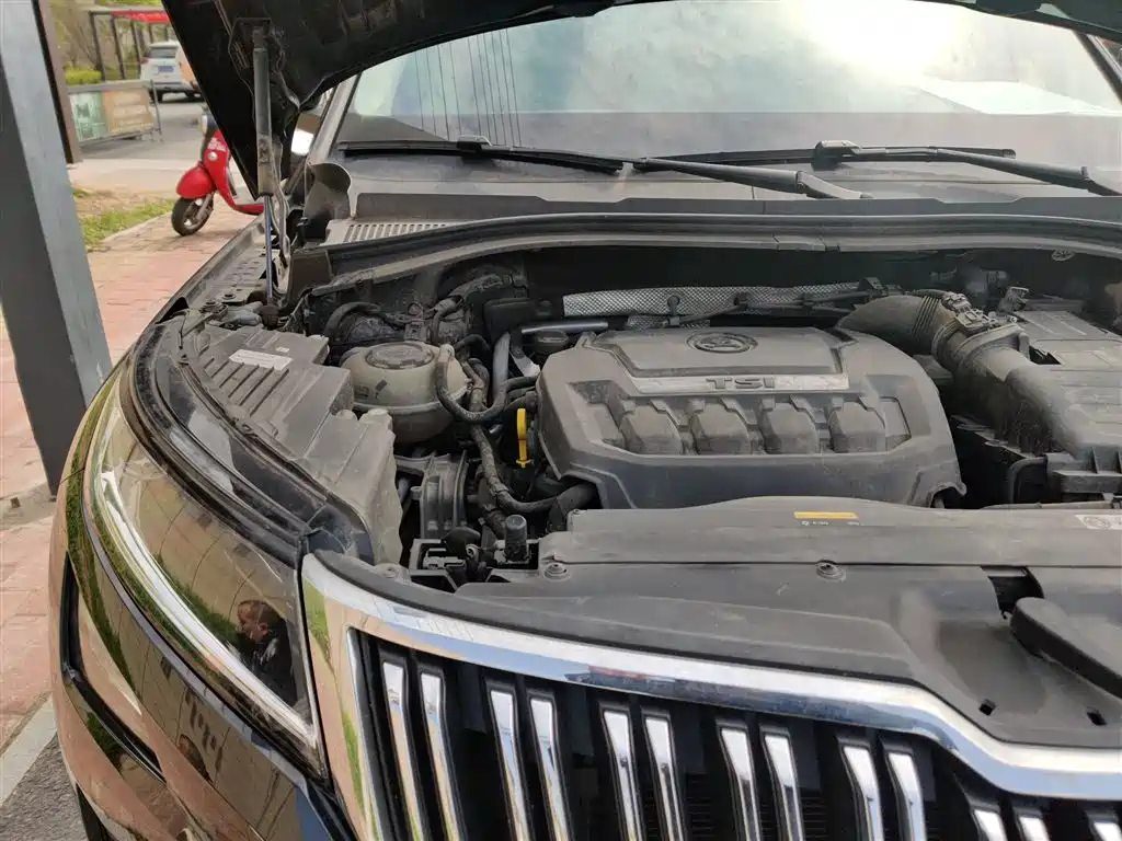 Škoda Kodiaq 2020 TSI330 5-Seater 2WD Luxury Premium Edition фото 20