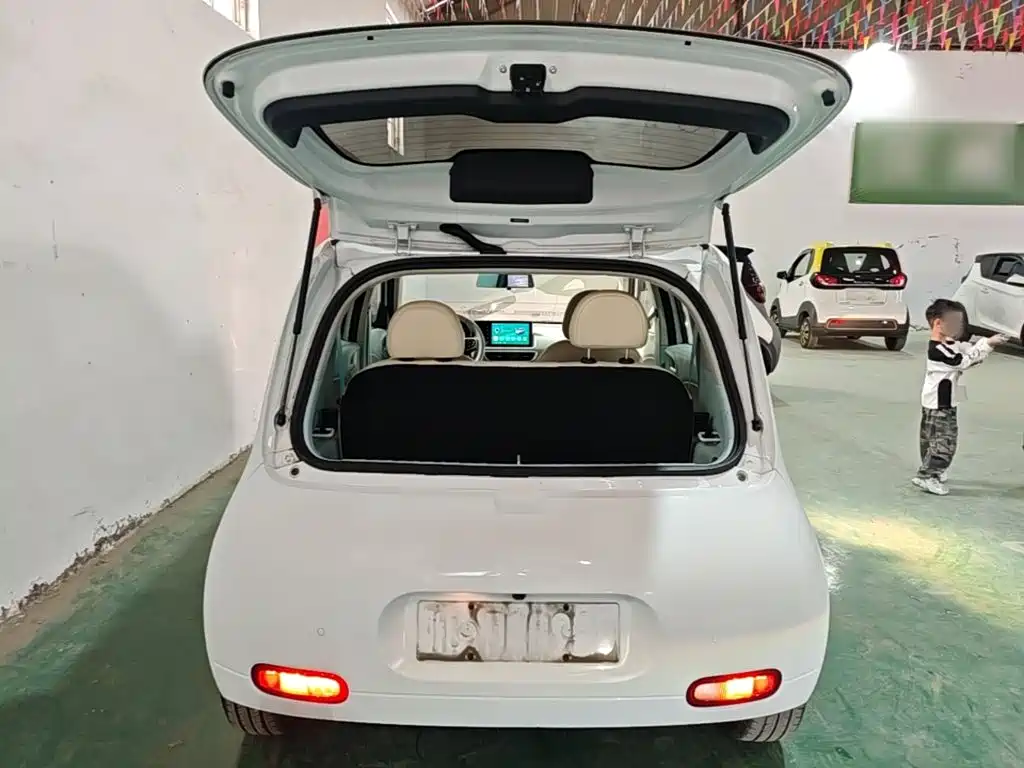 Ora White Cat 2021 2020 305km Luxury