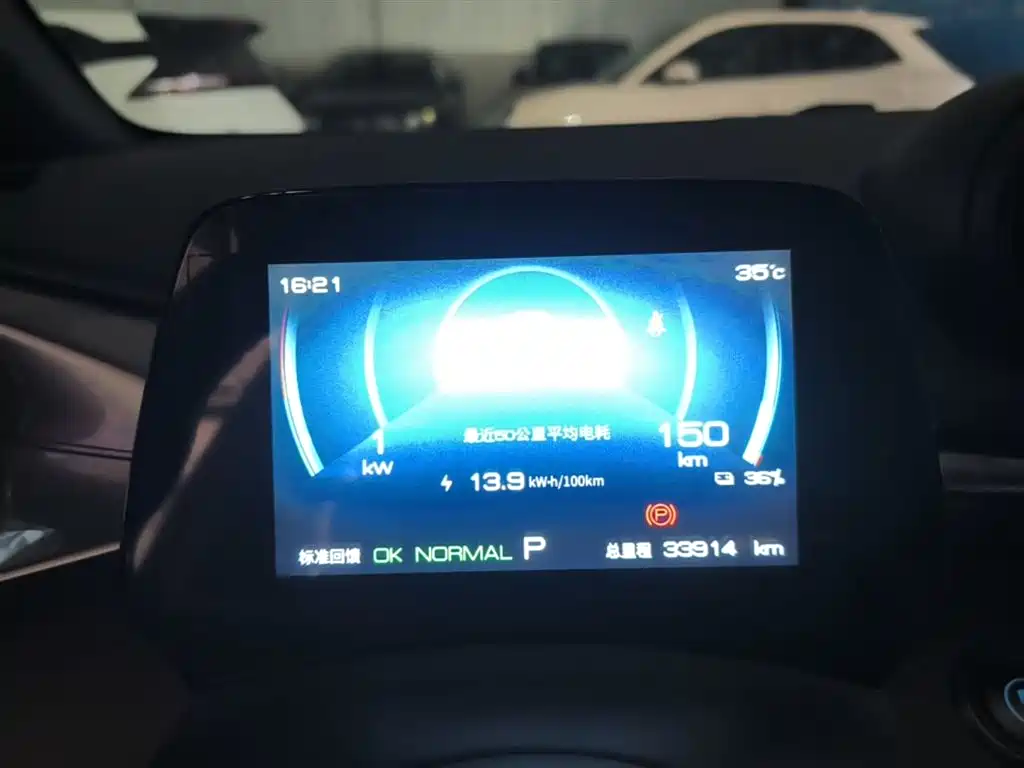 BYD Dolphin 2023 420km Freedom Edition фото 12