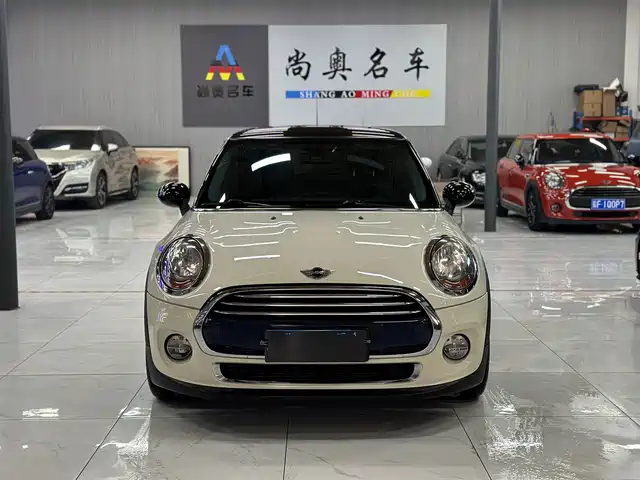 MINI 
