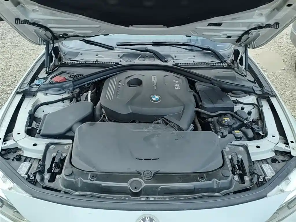 BMW 3 Series 2017 320Li Fashion фото 20