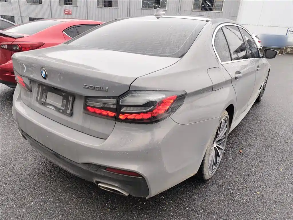 BMW 5 Series 2020 530Li Exclusive M Sport Package фото 7