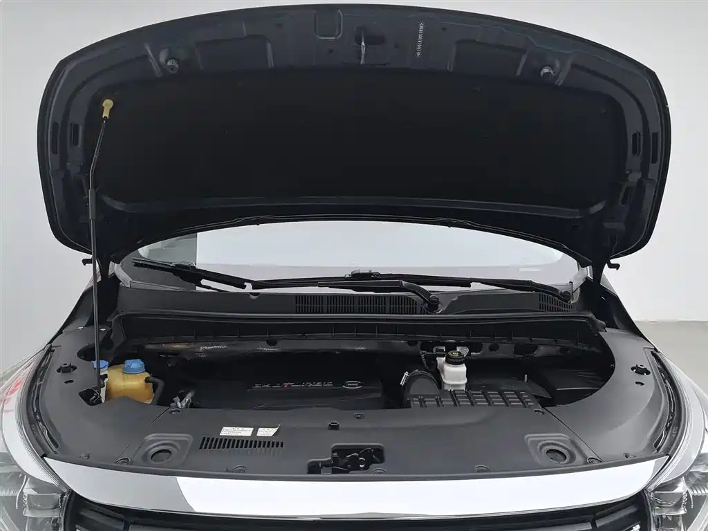 GAC Trumpchi Trumpchi M8 2021 Leading Show Series 390T Ultimate Edition фото 6