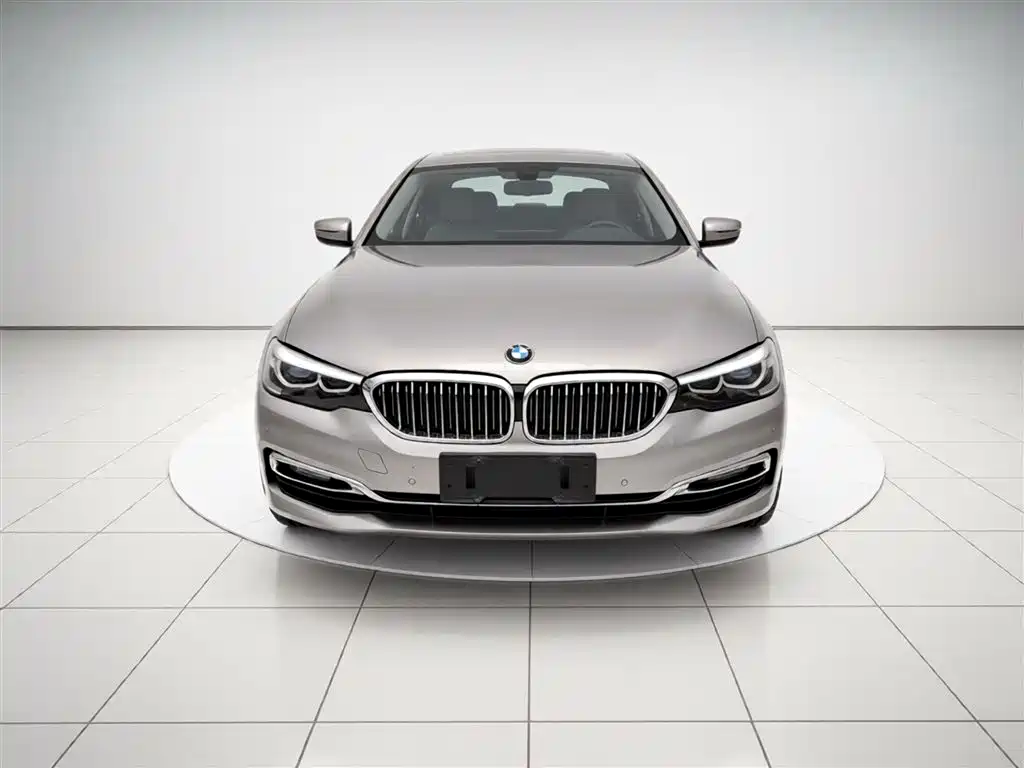 BMW 5 Series 2019 525Li Luxury Package фото 3