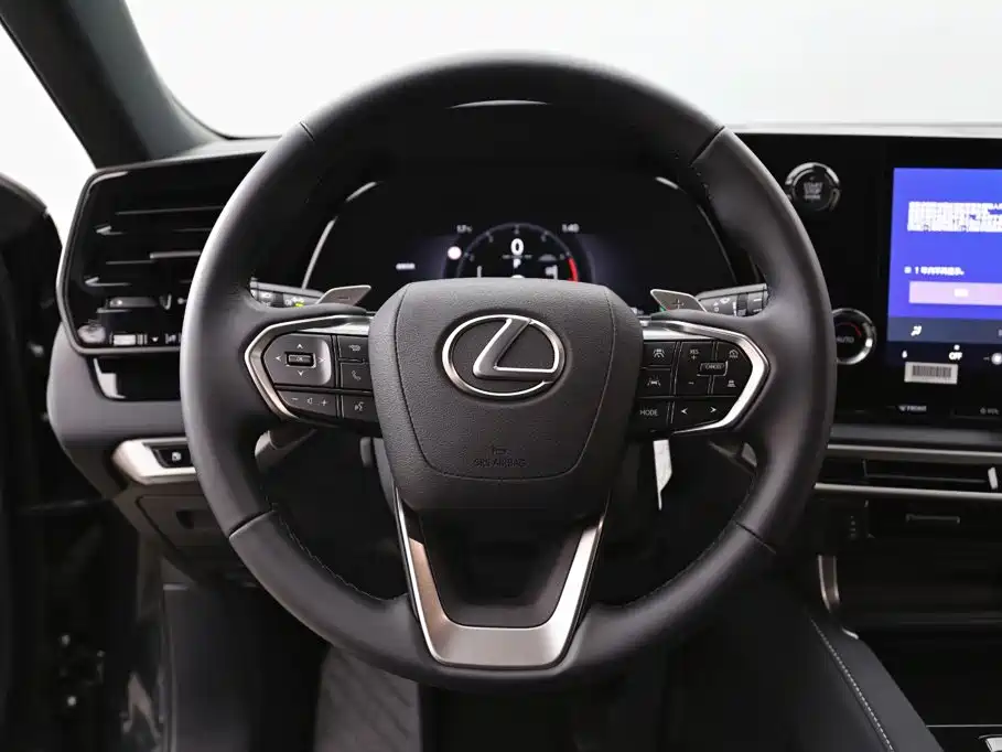 Фото 15 - Lexus RX