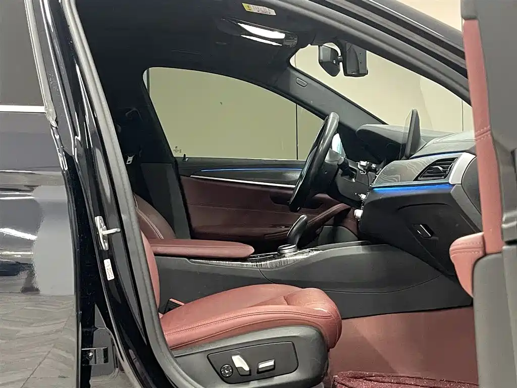 BMW 5 SERIES NEW ENERGY