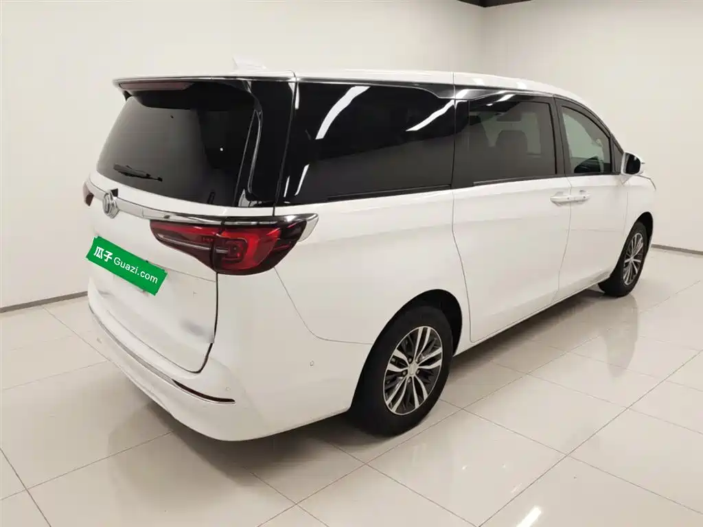 Buick GL8 2021 ES Landlord 653T Premium фото 5