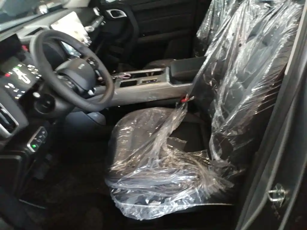 Haval Big Dog 2026 Model 1.5T High Configuration фото 15