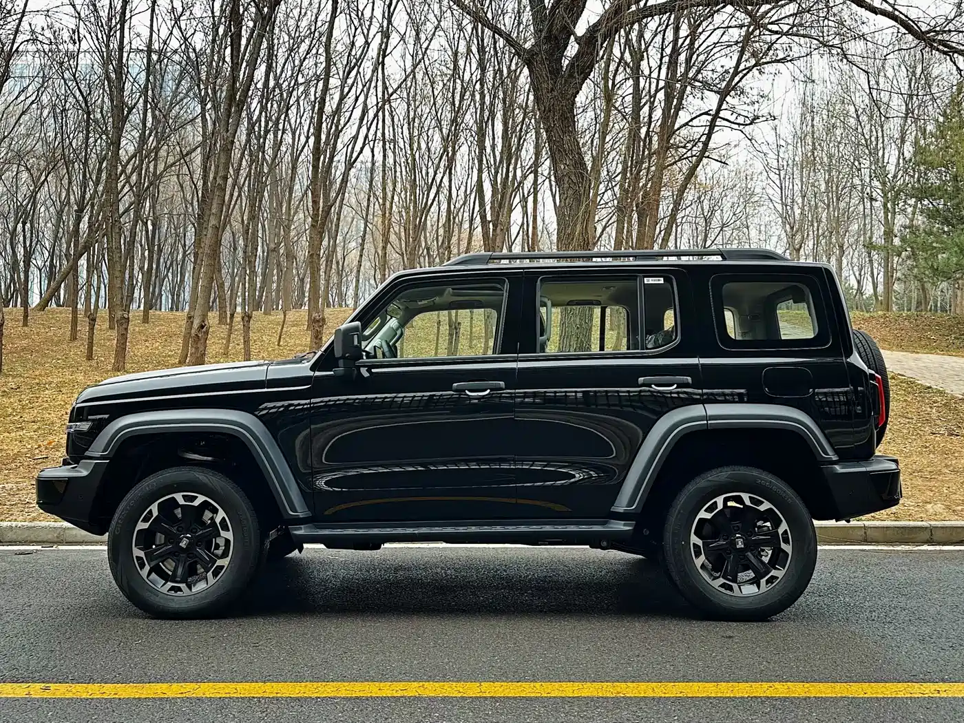 TANK TANK 300 NEW ENERGY