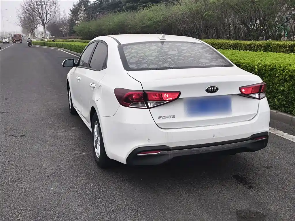Kia Forte 2018 1.6L Automatic Smart Connect Value-Connect фото 5