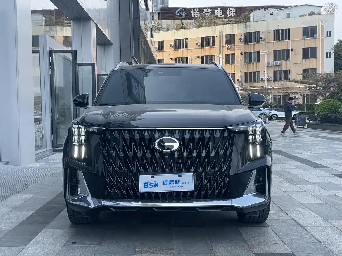 GAC Trumpchi Trumpchi GS8 2024 Dual Engine Series 2.0TM 2WD Premium Edition фото 2
