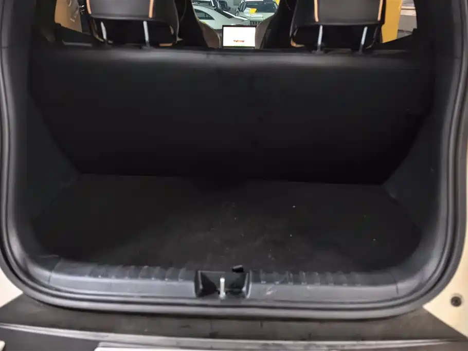 BYD Seagull 2025 Smart Drive Edition 305km Vitality Version фото 4