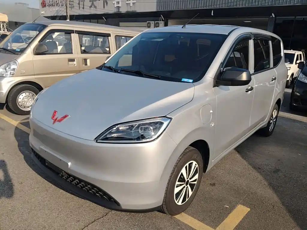 Wuling Motors Wuling Hongguang New Energy 2024 Pure Electric 300KM Standard