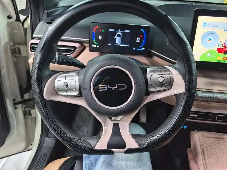 BYD Seagull 2025 Smart Drive Edition 305km Vitality Version фото 15