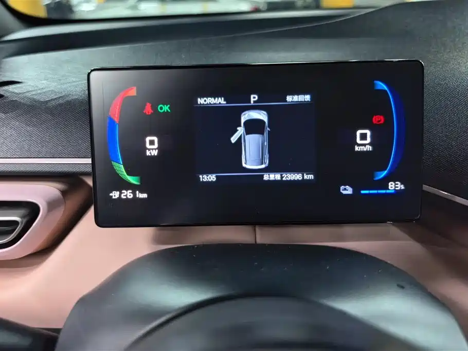 BYD Seagull 2025 Smart Drive Edition 305km Vitality Version фото 14