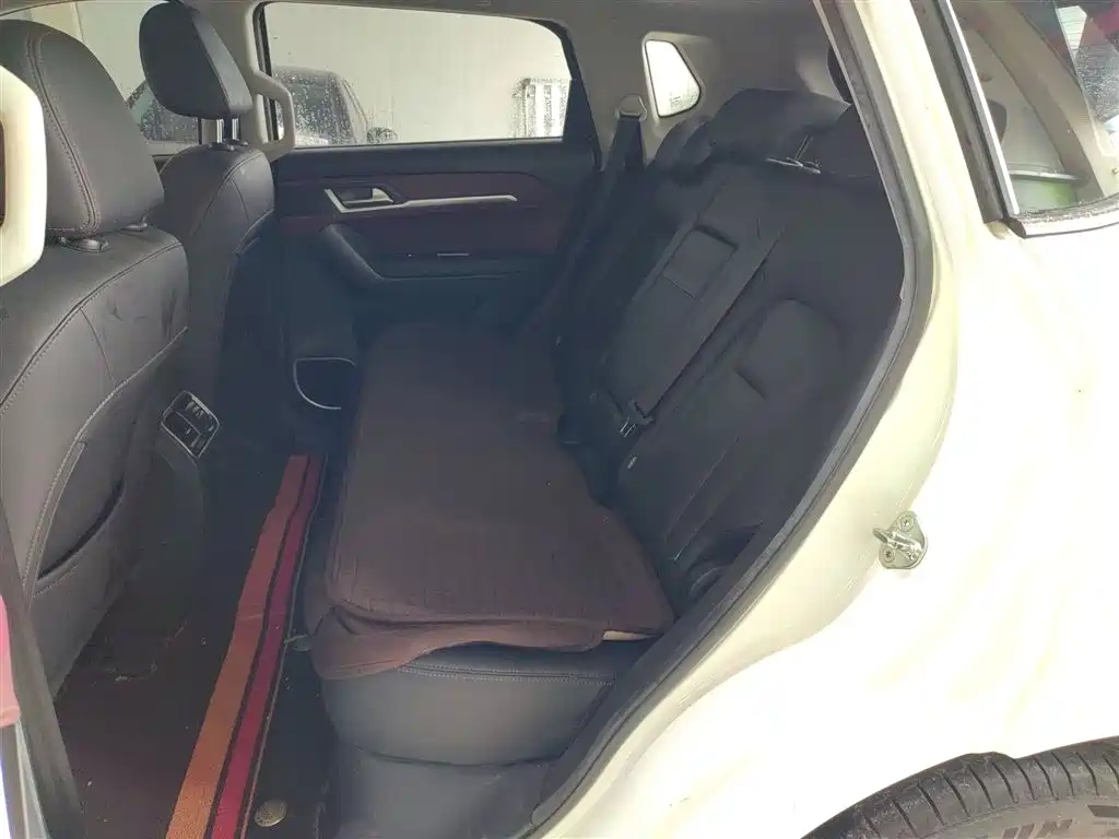 Haval H6 Coupe 2018 Red Label 1.5T Auto 2WD Ultra Luxury фото 17
