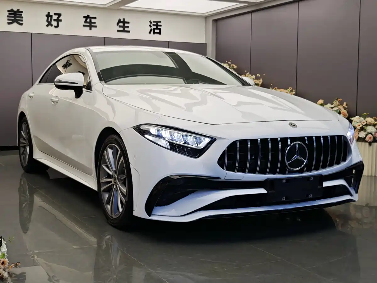 Mercedes-Benz CLS 2022 CLS 300 Dynamic фото 3