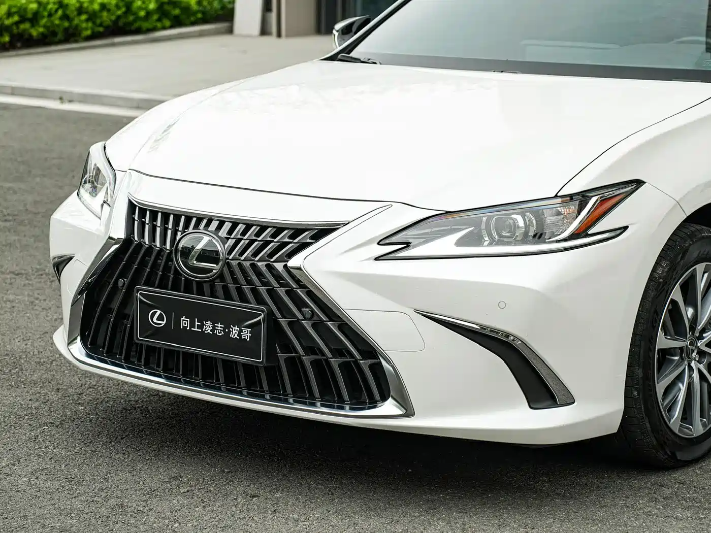 Lexus ES 2024 200 Premium Edition фото 8