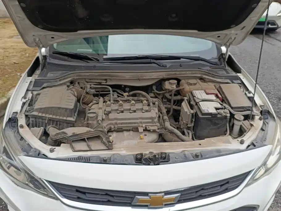 Chevrolet Cavalier 2016 1.5L Automatic Enjoyment Edition фото 10