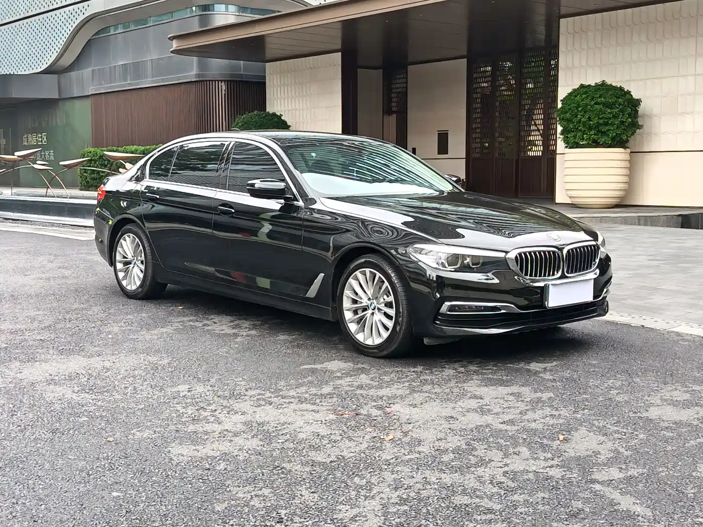 BMW 5 Series 2019 530Li Leading Luxury Package фото 3