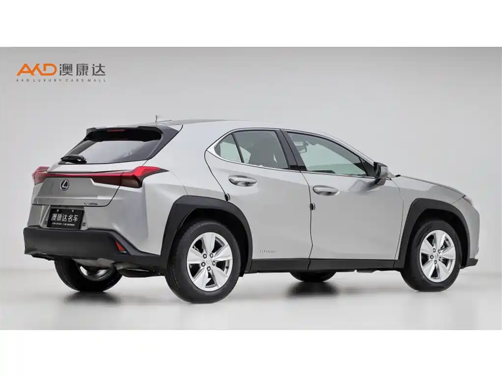Lexus UX 2020 260h Explore Fun Edition фото 3