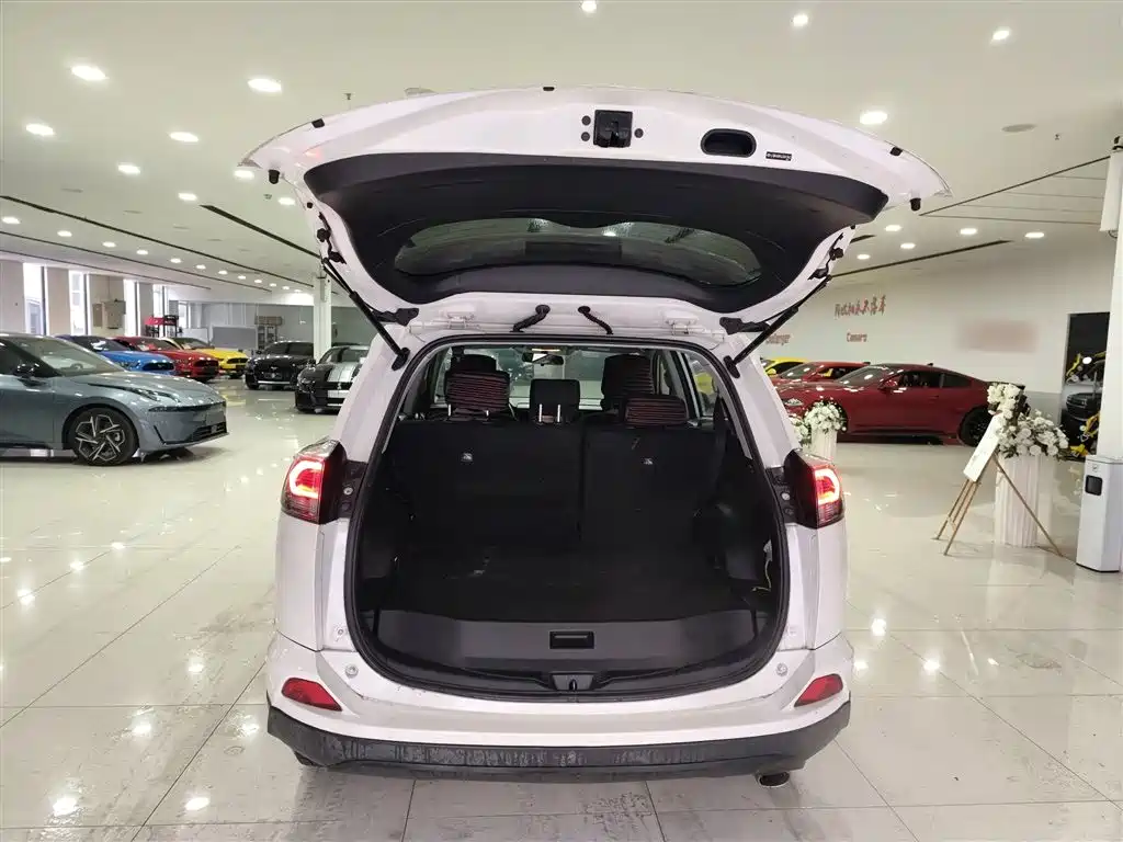 Toyota RAV4 Rongfang 2018 2.0L CVT 2WD Trend X Edition фото 19