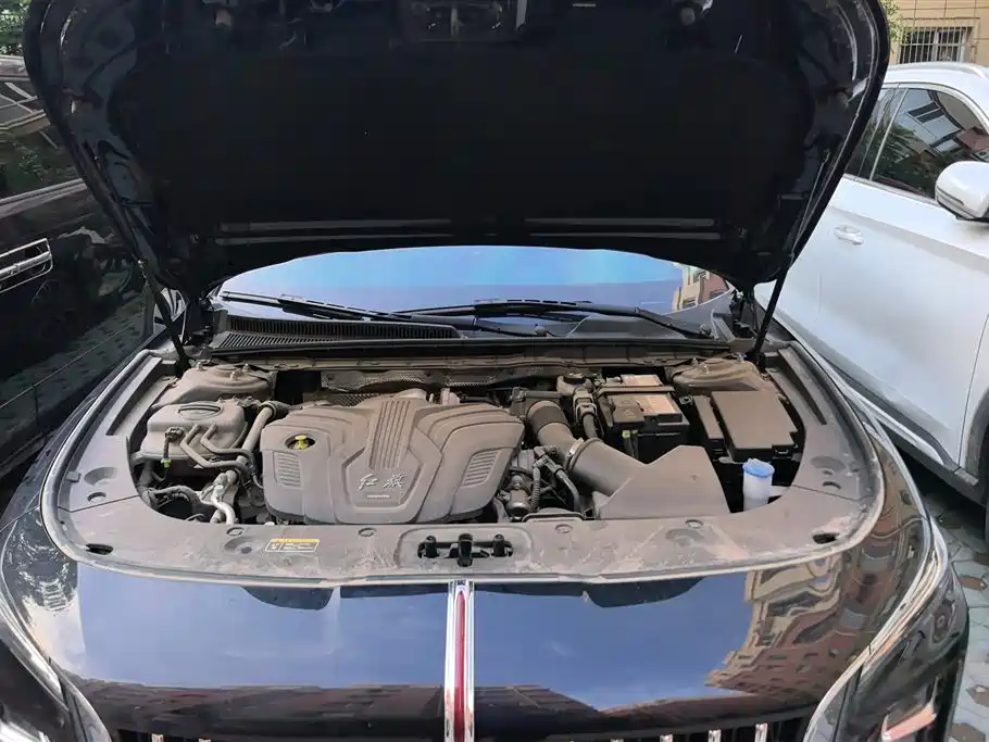 Hongqi H5 2024 2.0T Automatic Smart Connect Flag Smooth Edition фото 10