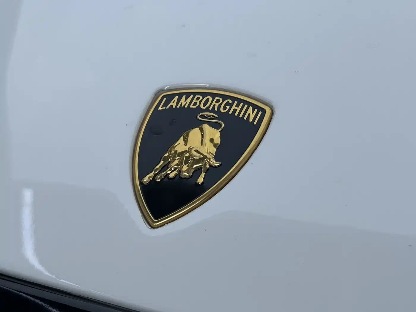 Lamborghini Huracán 2021 Huracán STO фото 21