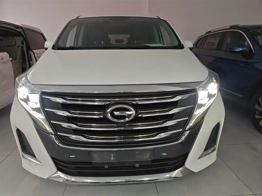 GAC Trumpchi Trumpchi M8 2020 Pilot 390T Premium Edition фото 3